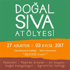 Doğal Sıva Atölyesi