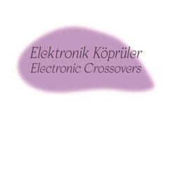 “Elektronik Köprüler” Konuşma ve Performans Serisi 