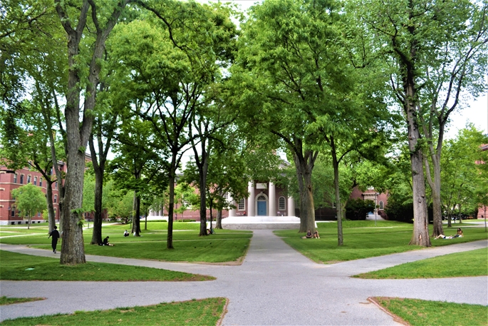 Harvard Yard, COVID-19 nedeniyle hayata geri dönüş sürecinde, “fiziksel ve sosyal mesafeli”, Cambridge, MA, 9 Haziran 2020.  