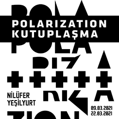 Kutuplaşma - Polarization