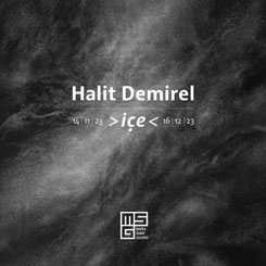 Halit Demirel: içe