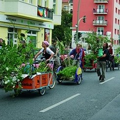 Toplum Tabanlı Hareket, Fikir ve Mekan: Topluluk Bahçeleri