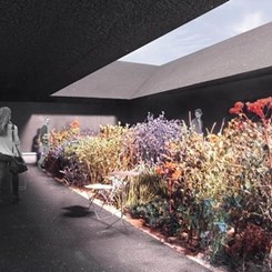 Zumthor'un Serpentine'i Londra'ya Baharı Getirecek