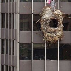 Zorlu Center, İlk Yayınında Çağdaş Sanat ile Mimarlığı 'Karşılaştırdı'